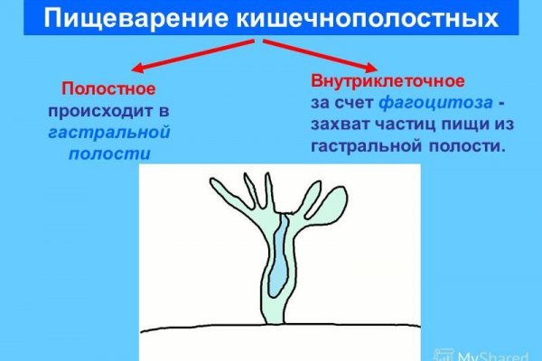 Кракен войти на сайт