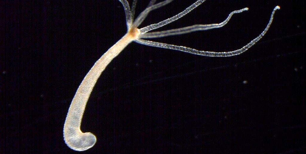 Кракен безопасный вход